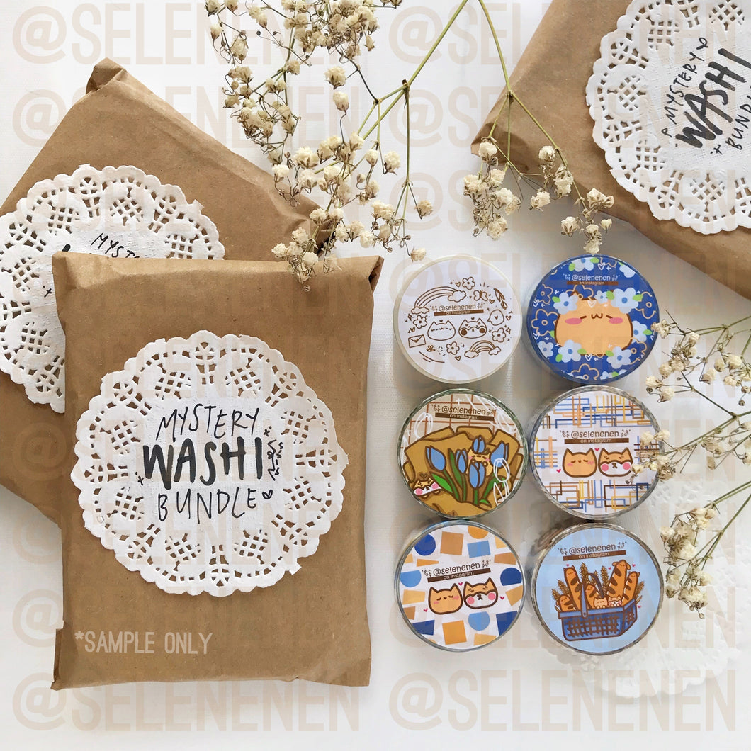 mystery washi bundle